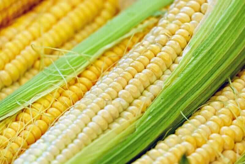 Corn Prices Rise on Friday Amid Increased Speculation