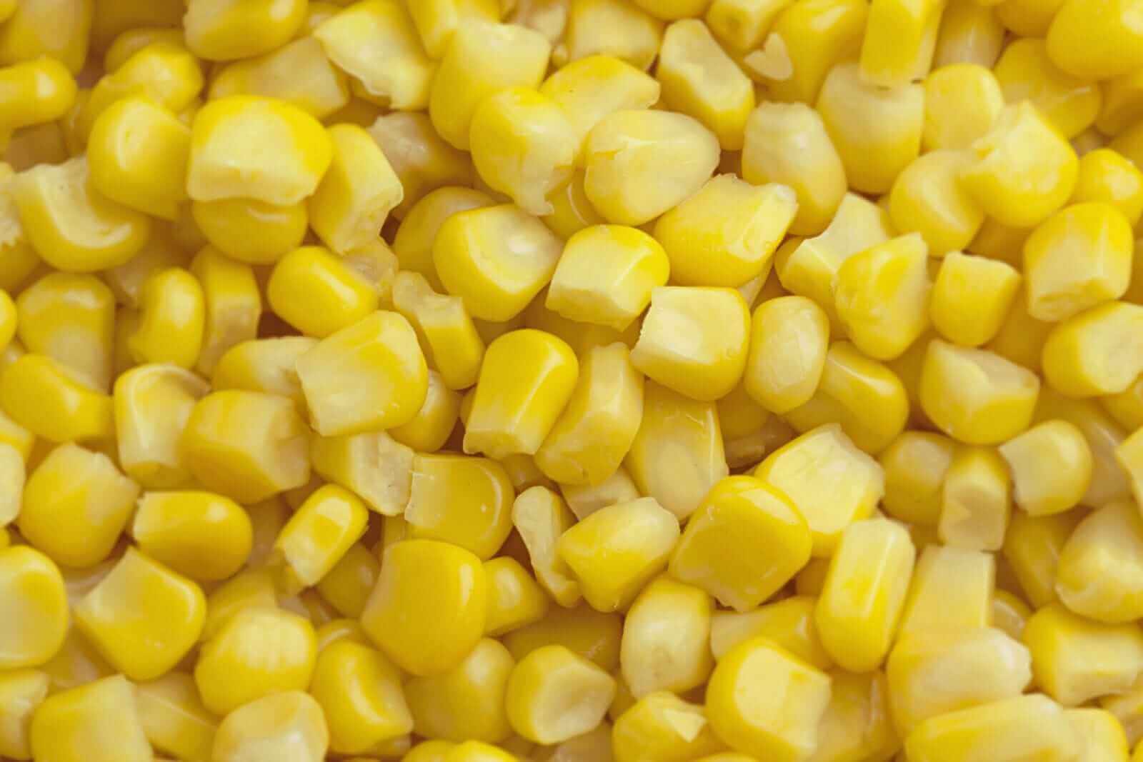 Corn Prices Drop Significantly on Monday
