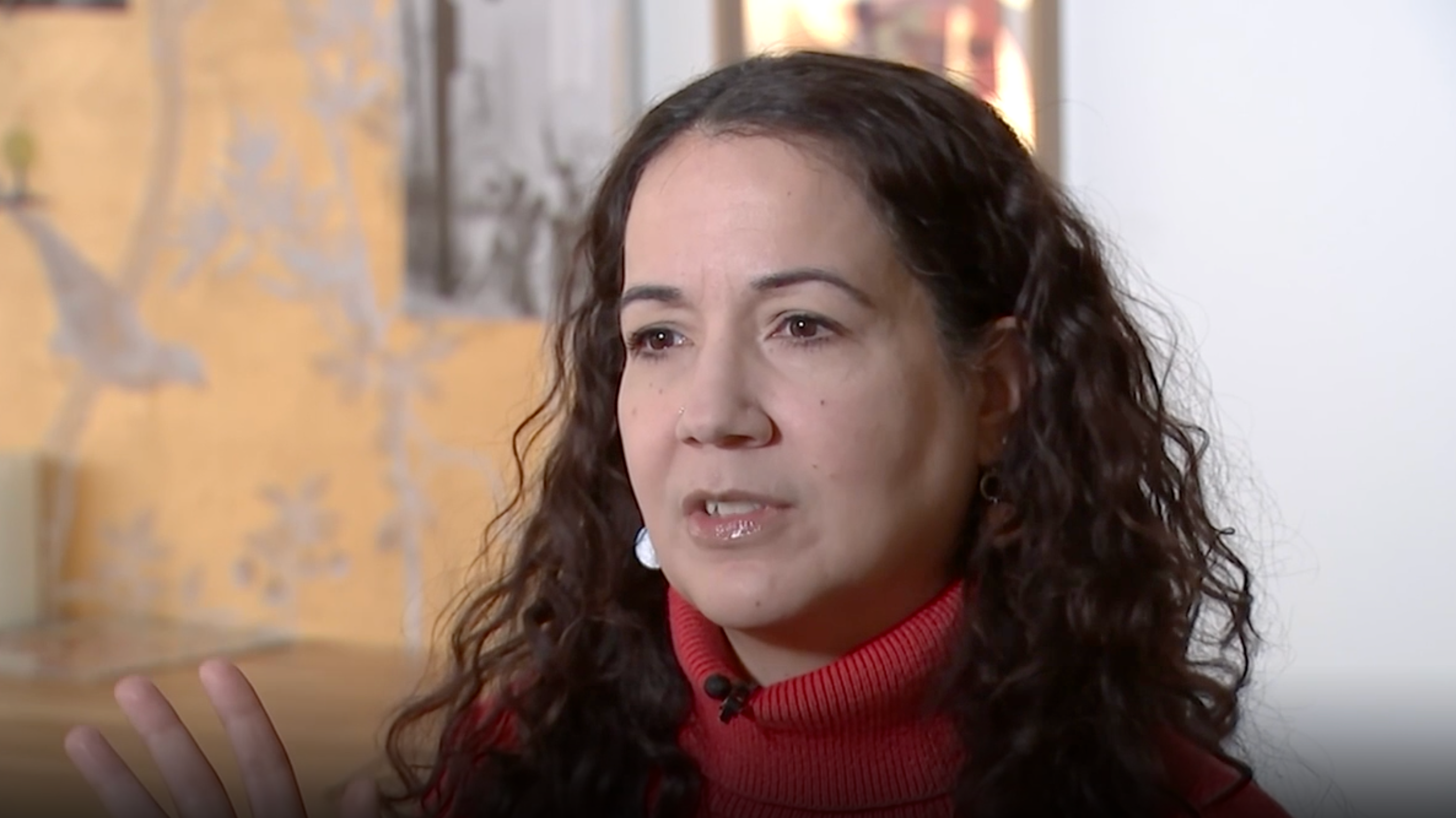 Woman Faces Year-Long Battle with Airbnb and PayPal for Refund