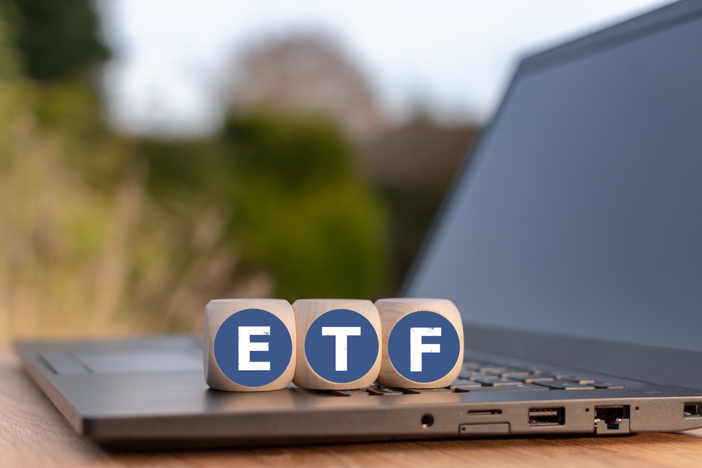 Two Vanguard ETFs Worth Considering for Investment